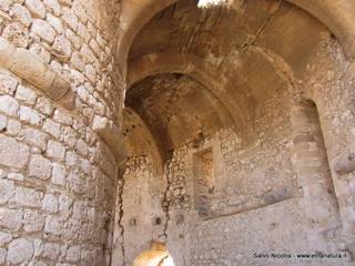 stello Mongialino-08-09-2014 17-05-08